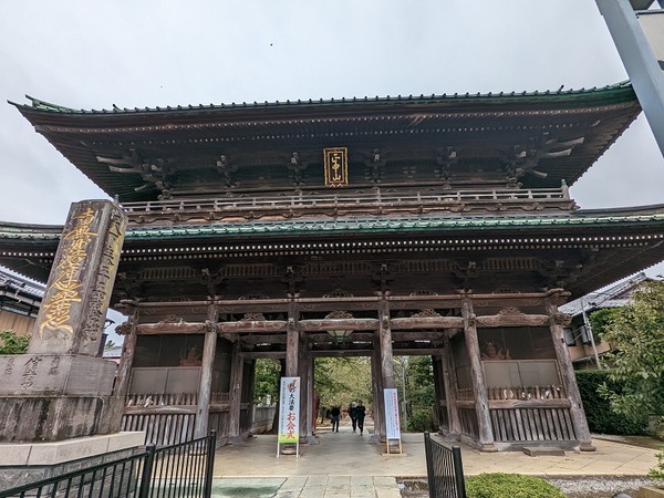 PXL_20221013_045343619