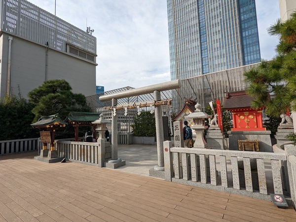 PXL_20221110_044616866