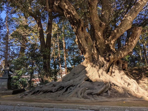 PXL_20260101_025942310