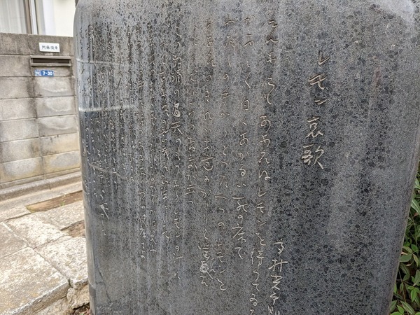 PXL_20230219_024500644