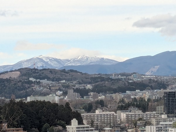 inbound4938442325851275017