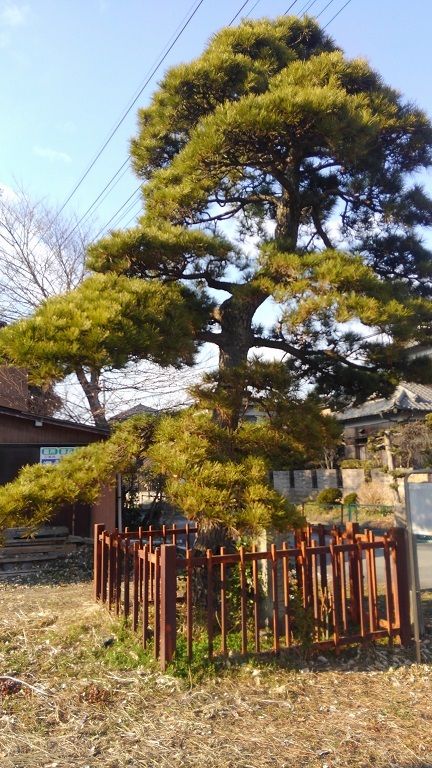 イメージ 7