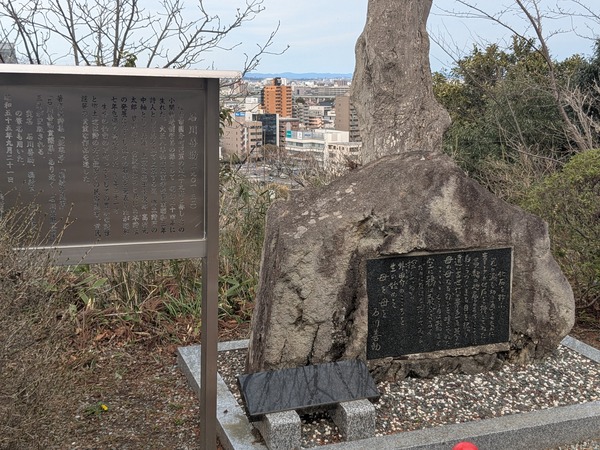 inbound1941666363085985021