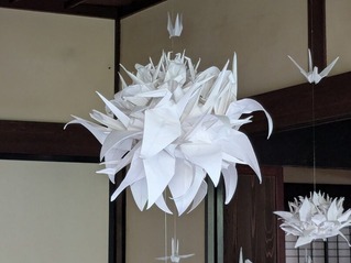 PXL_20251107_031136143