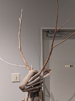 PXL_20230427_060202303.MP