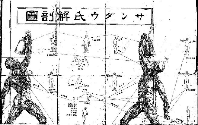 イメージ 15