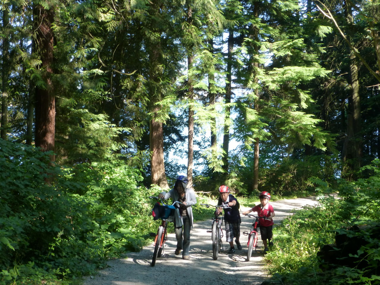 スタンレーパーク 小山家14年夏カナダ旅行日記