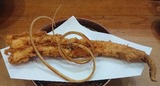 tento-anago-20191008