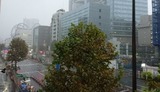 hakusandori-20191012