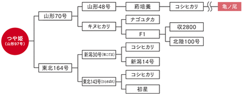 02-06