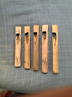 矯め木 : 小山矢日記