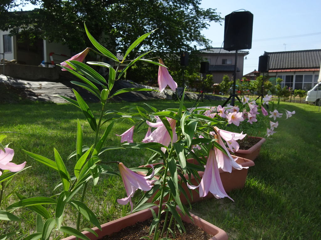 DSC08440