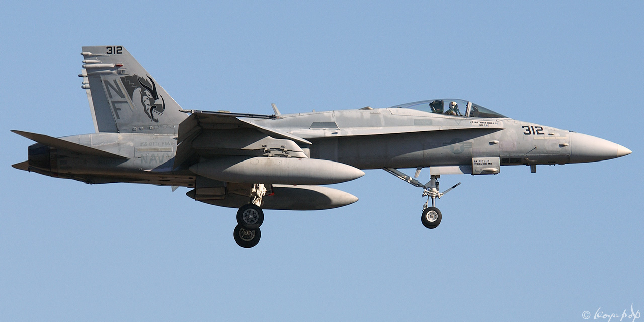 Koyapop’s LIBRARY ☆ BEAUTIFUL PLANES OF THE '00s +1 ☆ : VFA-192 NF-312