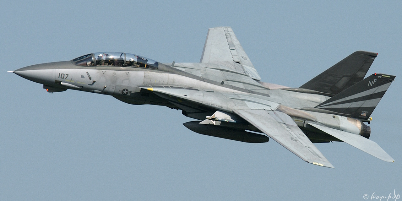 Koyapop’s LIBRARY ☆ BEAUTIFUL PLANES OF THE '00s +1 ☆ : VF-154 NF-107