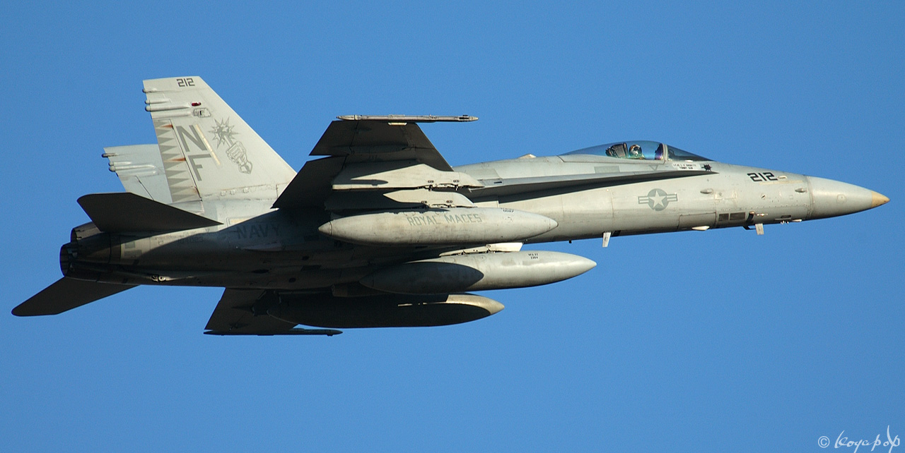 Koyapop’s LIBRARY ☆ BEAUTIFUL PLANES OF THE '00s +1 ☆ : VFA-27 NF-212