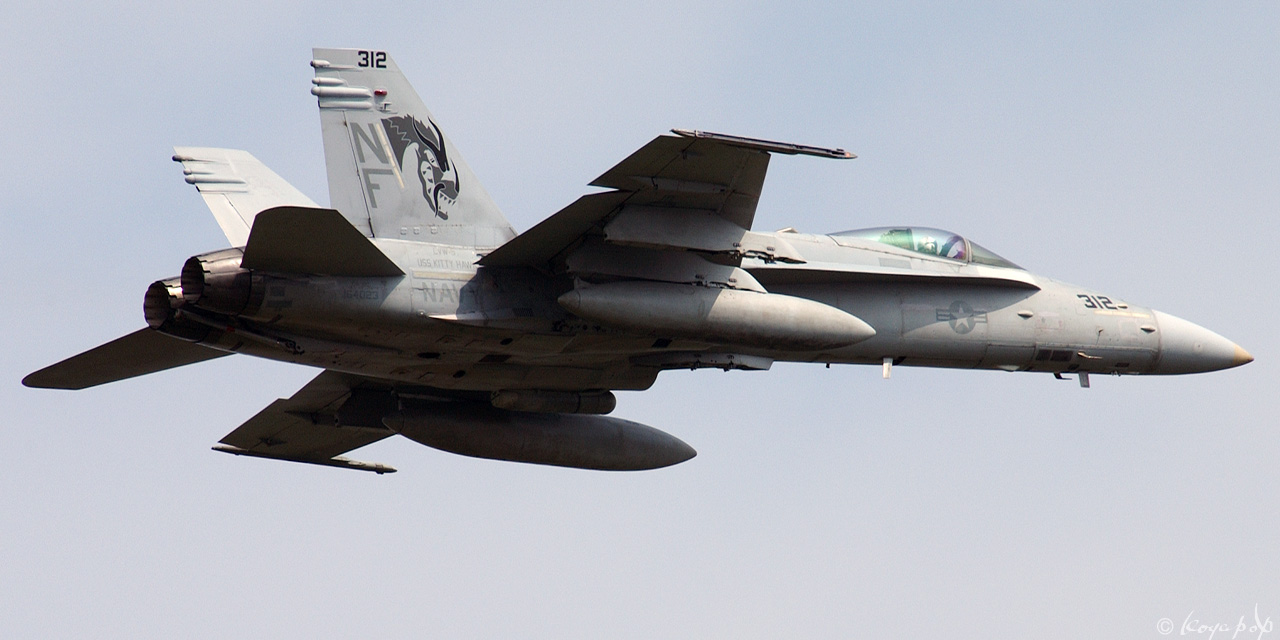 Koyapop’s LIBRARY ☆ BEAUTIFUL PLANES OF THE '00s +1 ☆ : VFA-192 NF-312