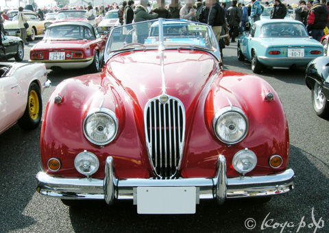 01 jaguar xk140 100131-126ds480