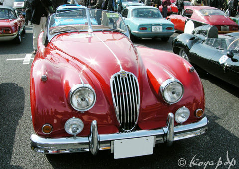 02 jaguar xk140 100131-123ds480