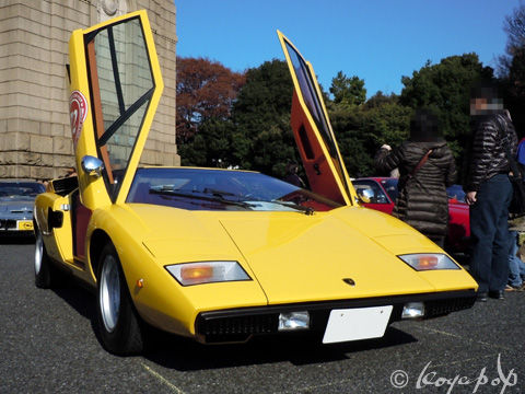 13 lambo countach 111126-367s480