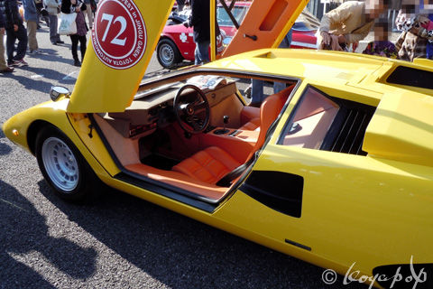 18 lambo countach 111126-380s480