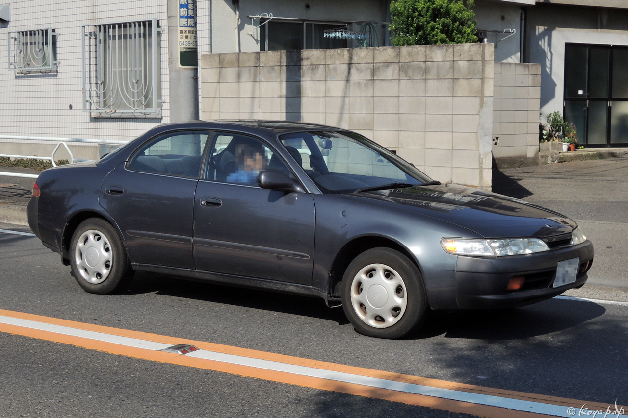 Ноускат toyota corolla ceres