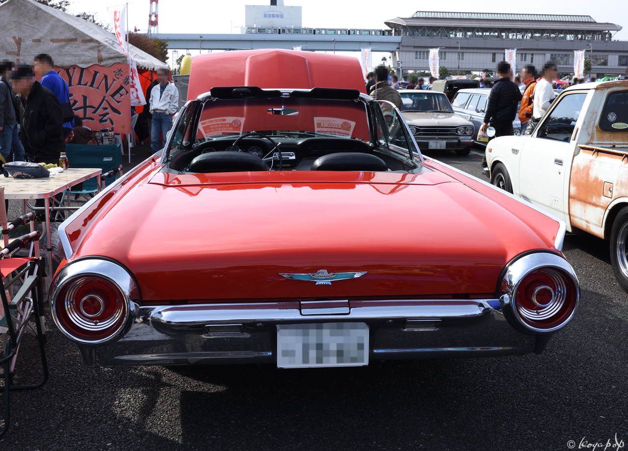 05 t-bird62 181118R-435x1280