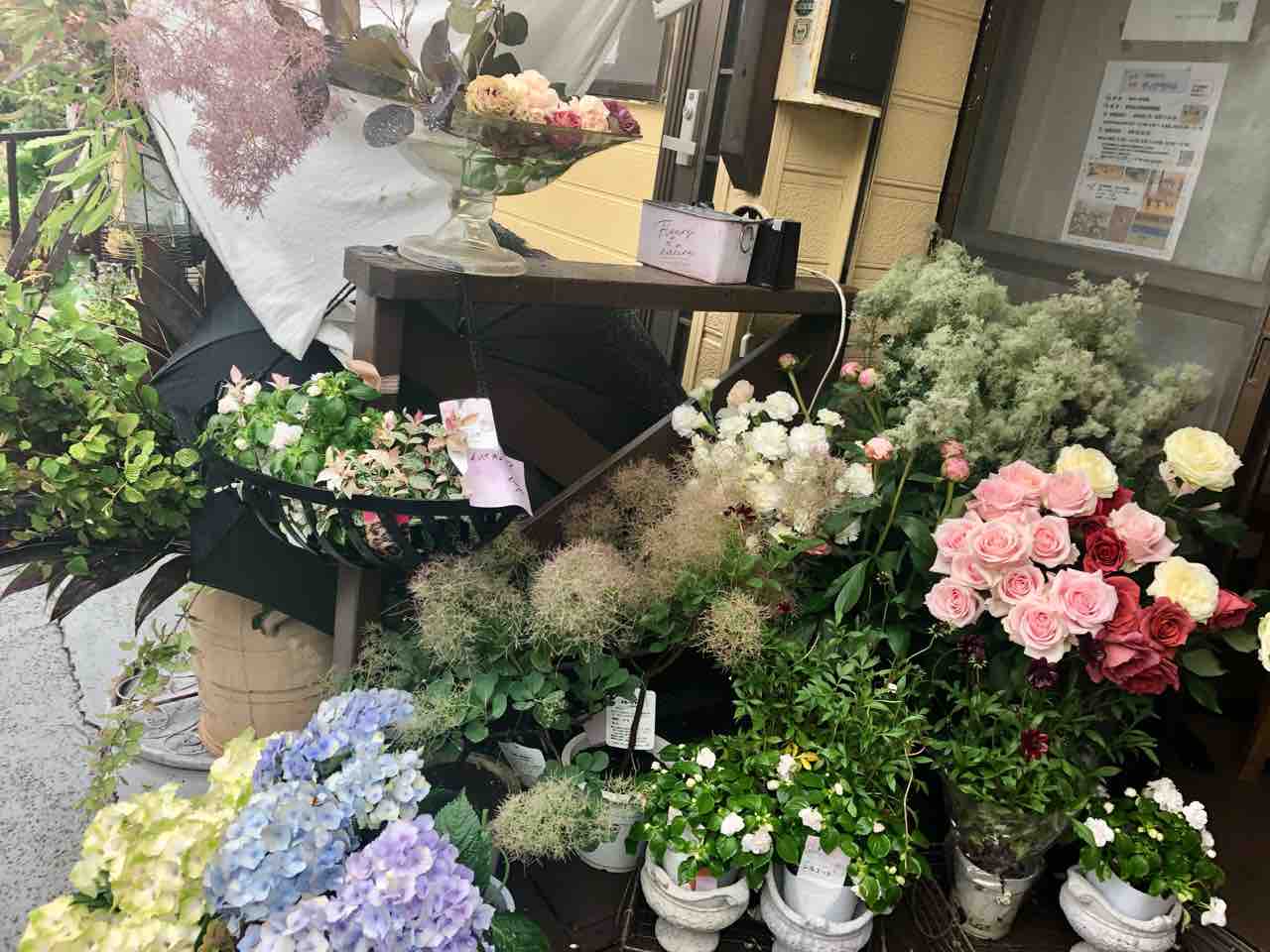 お花屋さん来てます Koya便り 千葉県船橋市薬円台5 35 7 047 465 9475 居酒屋 となりのみよちゃん の一角で営業しています 営業日は毎週水 木曜日 イベント貸し切りもやってます お花屋さん来てます Koya便り 千葉県船橋市薬円台5 35 7 047 465 9475 居酒屋 となりのみよちゃん の一角で営業しています 営業日は毎週水 木曜日 イベント貸し切りもやってます