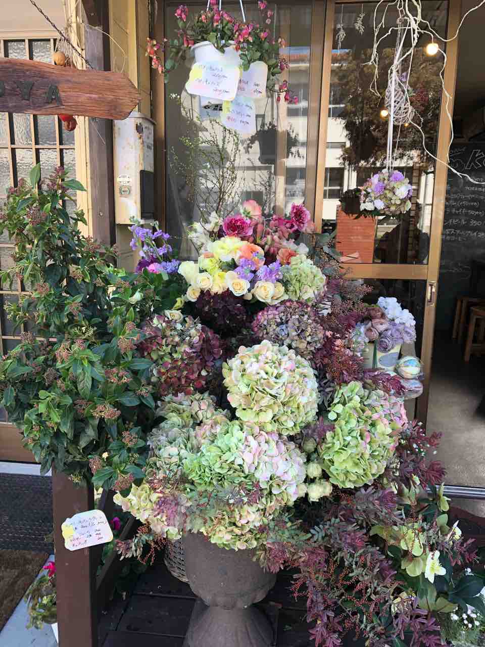 2月27日お花屋さんがきます Koya便り 千葉県船橋市薬円台5 35 7 047 465 9475 居酒屋 となりのみよちゃん の一角で営業しています 営業日は毎週水 木曜日 イベント貸し切りもやってます