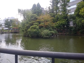 IMG00670_HDR