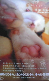 �����֤��ߤȤ�������