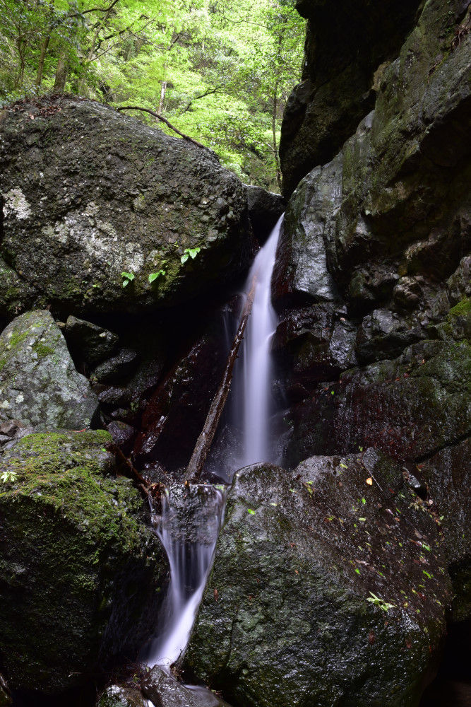 蕎原 出合滝5m 貝塚市蕎原 小幸の滝めぐり