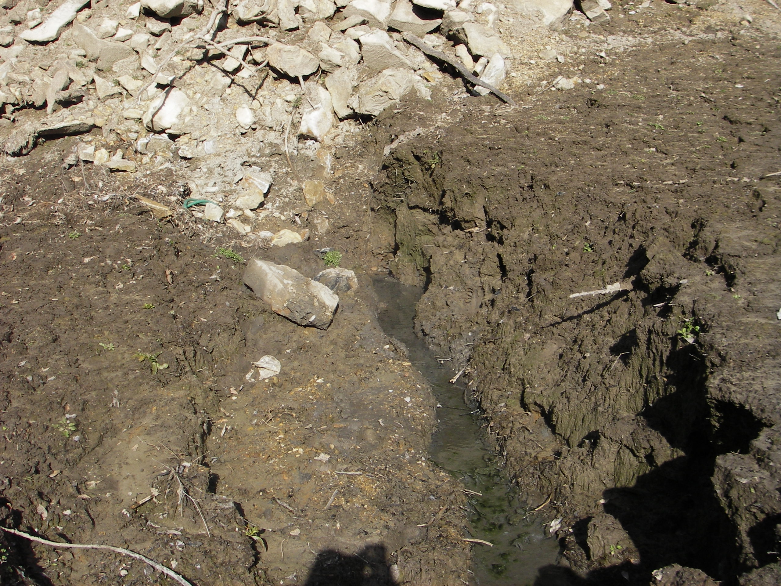 湯の花温泉 古座川荘オーナーのblog