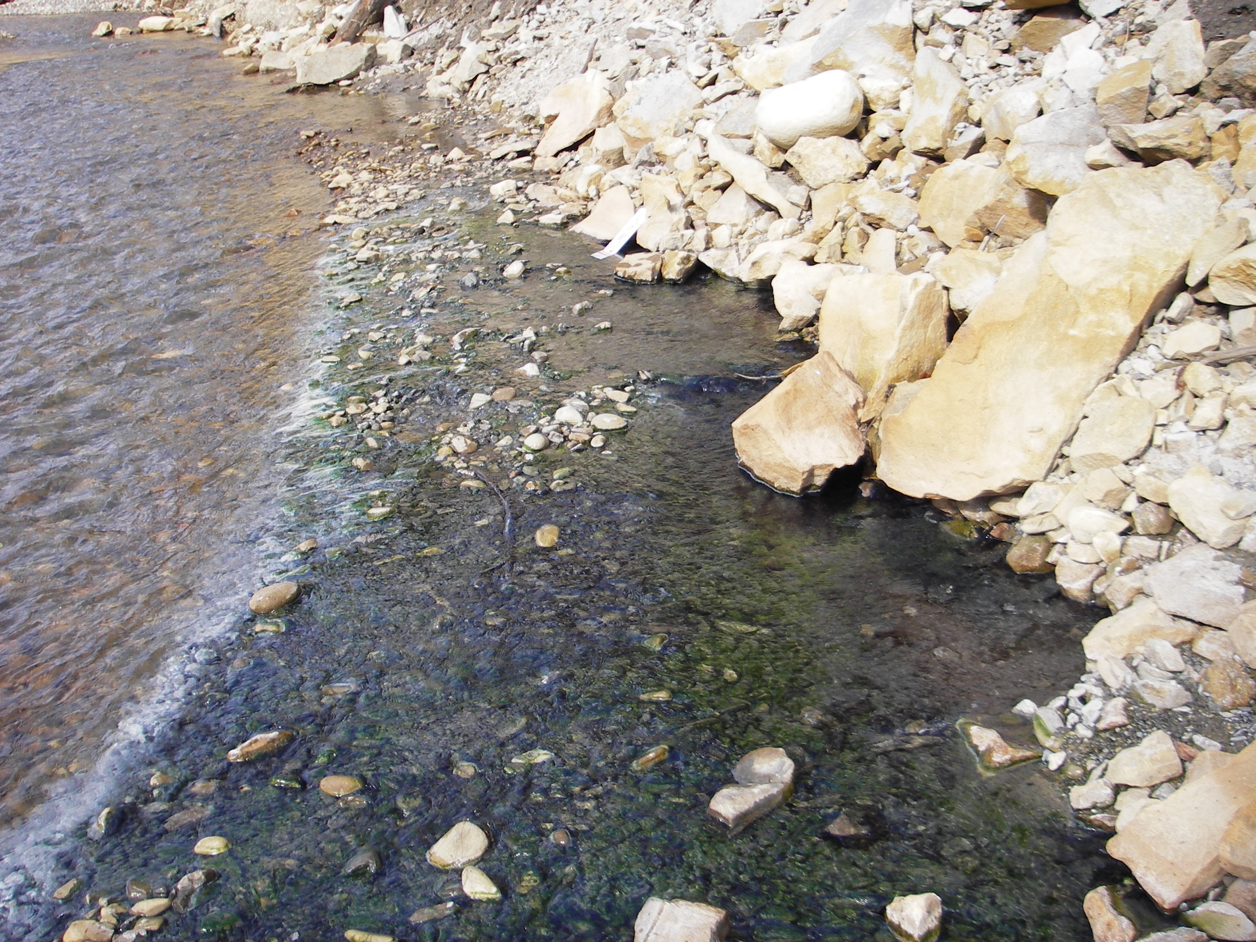 湯の花温泉 古座川荘オーナーのblog