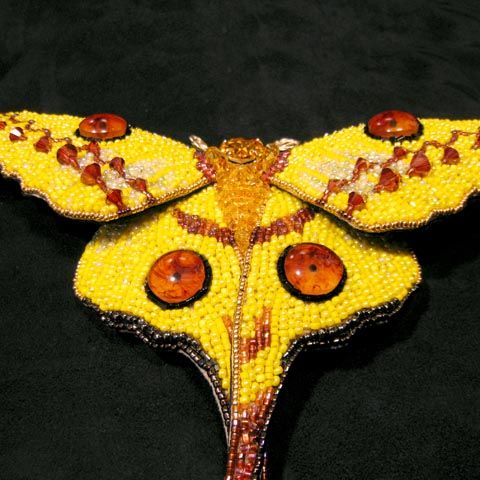 マダガスカルオナガヤママユ : こざいく堂・へたな小細工しやがって