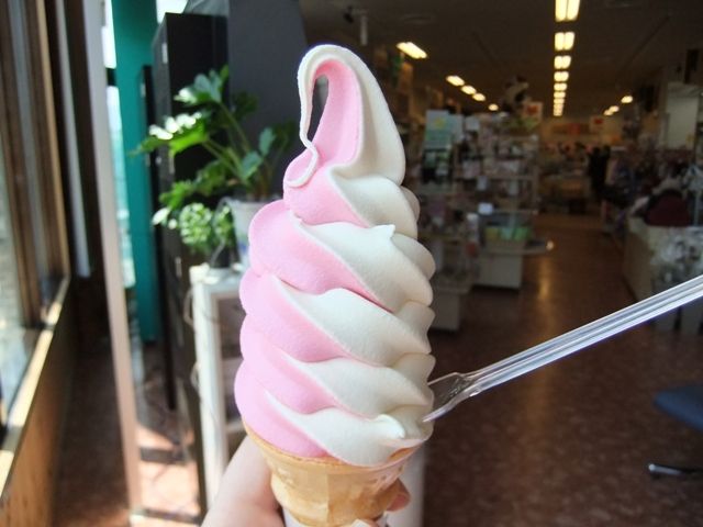 こけももソフトクリーム 河口湖日記