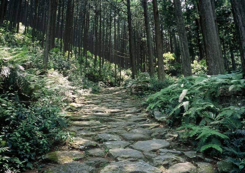 熊野古道伊勢路の発掘 神様百名山を旅する