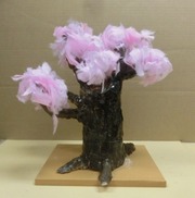 多田羅結生260308-2