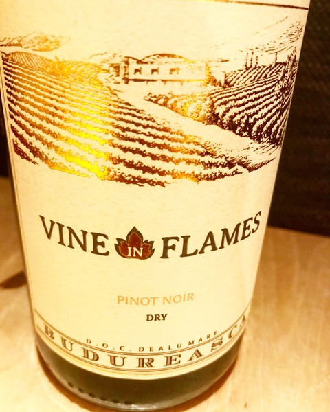 31A296E4-906C-4733-8B4B-51609AC251C1