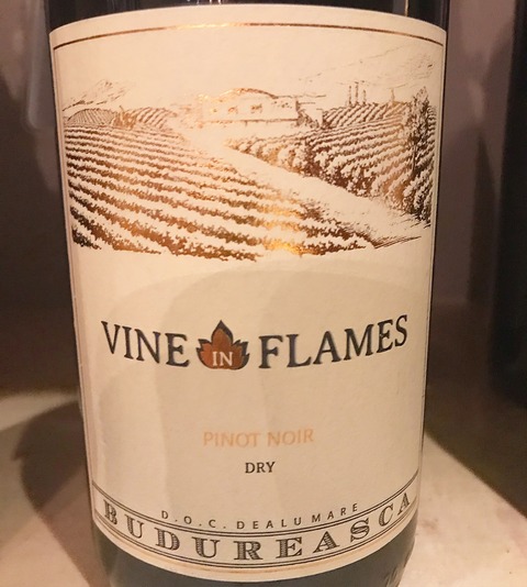 1F545A42-78C9-40E9-AB3A-AD8F00AA6C5E