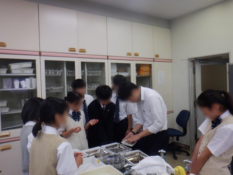 kaibou