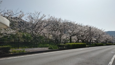IMG00710_HDR