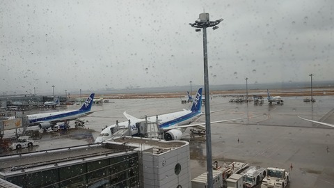 IMG00490