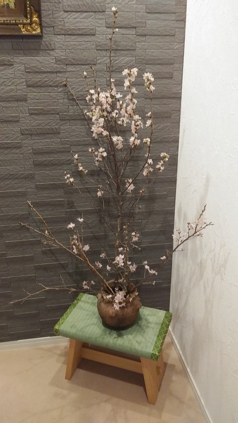 IMG00615