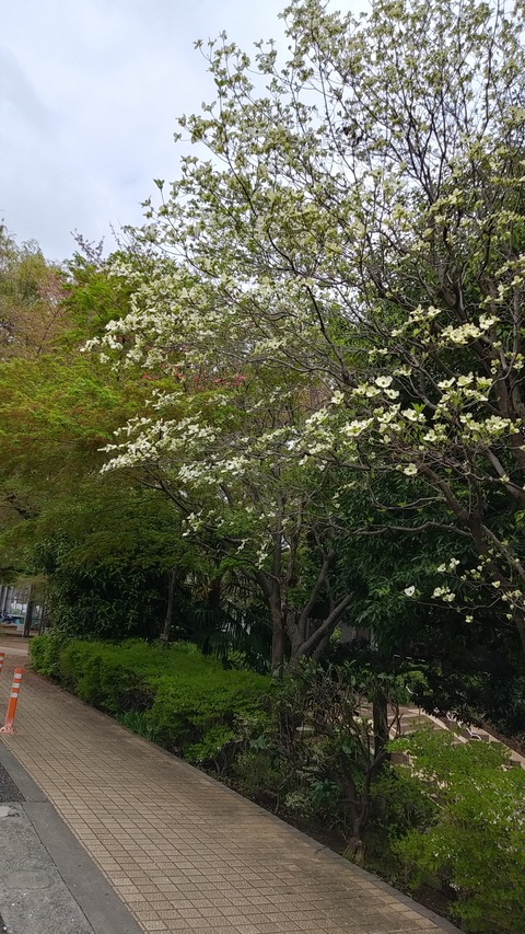 IMG00761_HDR
