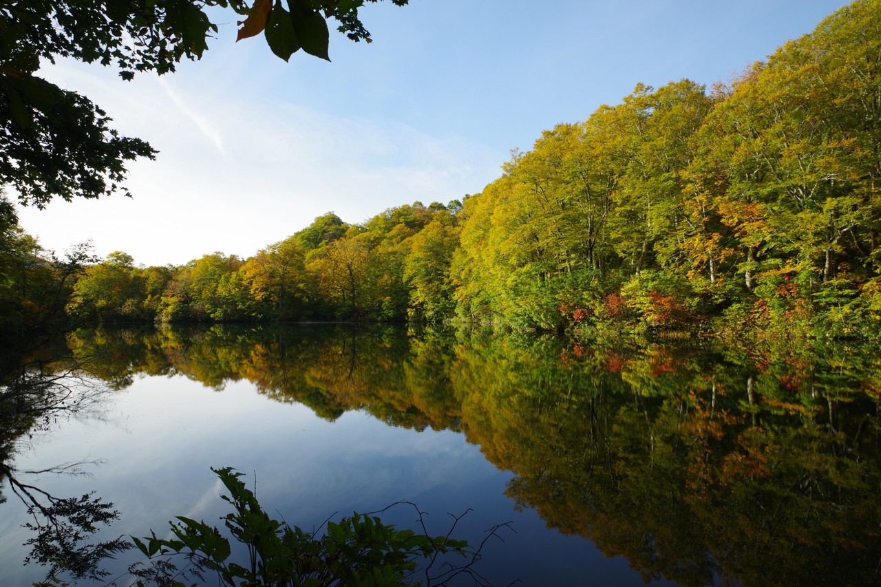 心洗われる ぐっさんの口べた日記