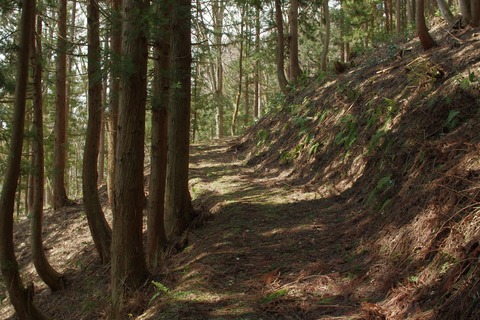 th_IMGP5361