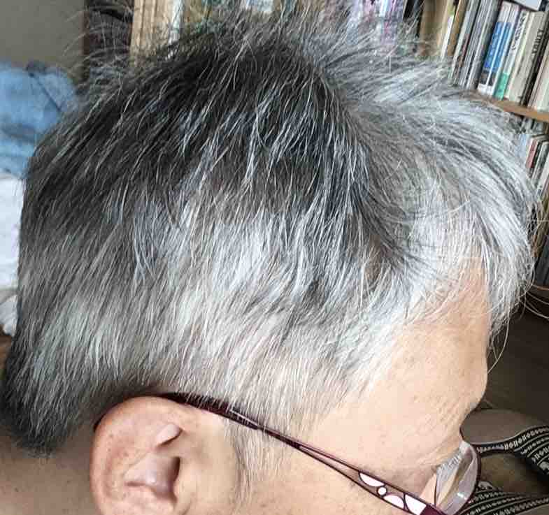 セシール カット 梢おばさまのトランス日記