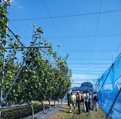 V����Ω�Ƥ����򸫳�