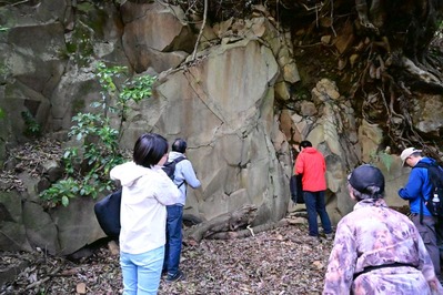 ���������ϴ��ϪƬ