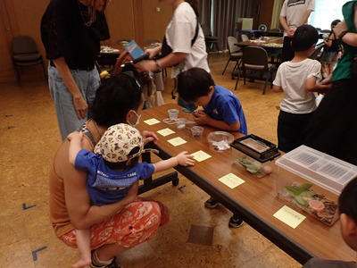 �����ʥޥ�゙�ˤ�ƻҤ�゙�ѻ�